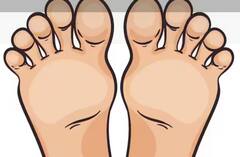 Health: ਪੈਰਾਂ ਦੀਆਂ ਤਲੀਆਂ 'ਚ ਪੈਣ ਵਾਲੇ ਸਾੜ ਤੋਂ ਹੋ ਪਰੇਸ਼ਾਨ, ਤਾਂ ਇਸ ਤਰੀਕੇ ਨਾਲ ਖਾਓ ਲੌਕੀ, 2 ਦਿਨਾਂ 'ਚ ਨਜ਼ਰ ਆਵੇਗਾ ਫਾਇਦਾ