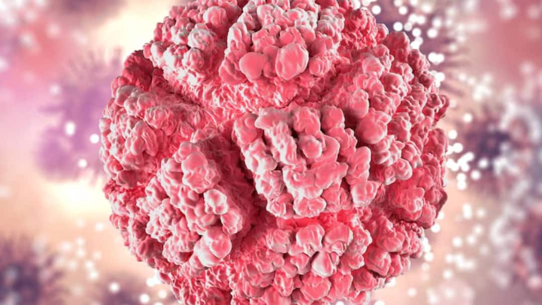 scientists identify key to stopping cancer recurrence read full article in hindi Cancer Prevention: इलाज के बाद दोबारा कैंसर फैलने का खतरा इस खास सेल के कारण होता है, साइंटिस्ट ने रिसर्च में किया खुलासा