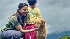 Mimi Chakraborty: নির্বাচনের উত্তেজনা থেকে অনেক দূরে... সবুজের মাঝে পরিবারের সঙ্গে অবসরযাপন মিমির