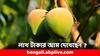Viral News: অবিশ্বাস্য ! ৩ লাখ টাকায় মিলবে মাত্র ১ কেজি- ভারতেই জন্মায় এই দুর্মূল্য আম