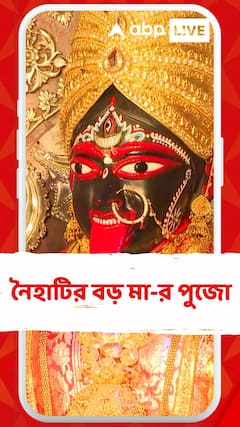 ফলহারিণী কালীপুজোয় নৈহাটির বড় মা-র পুজো