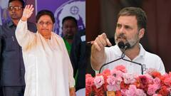 मायावती की बसपा ने बिगाड़ा कांग्रेस का खेल, जानें MP की मुरैना और सतना लोकसभा सीटों का हाल