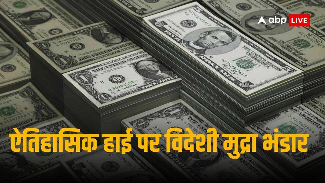 विदेशी मुद्रा भंडार पहुंचा ऑलटाइम हाई पर, 31 मई तक 651.5 बिलियन डॉलर पर जा पहुंचा कोष India foreign exchange reserves reached historical high of US$ 651.5 billion on May 31 2024 Says RBI Governor विदेशी मुद्रा भंडार पहुंचा ऑलटाइम हाई पर, 31 मई तक 651.5 बिलियन डॉलर पर जा पहुंचा कोष