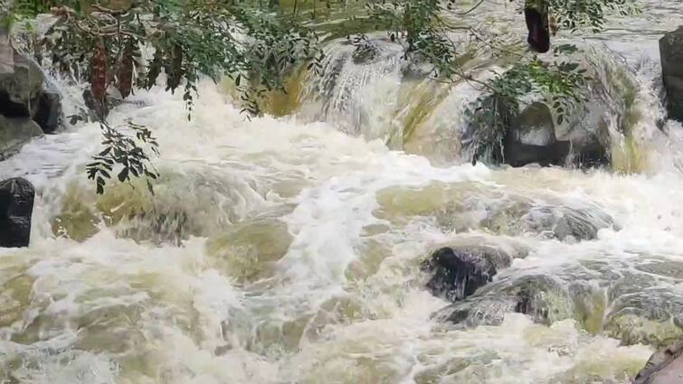 An increase of 2000 cubic feet—the water gushes red in the falls because it is rainwater பிலி குண்டுலுவுக்கு 1000 கன அடியிலிருந்து 2000 கன அடியாக நீர்வரத்து அதிகரிப்பு! ஆர்ப்பரித்து கொட்டும் தண்ணீர்