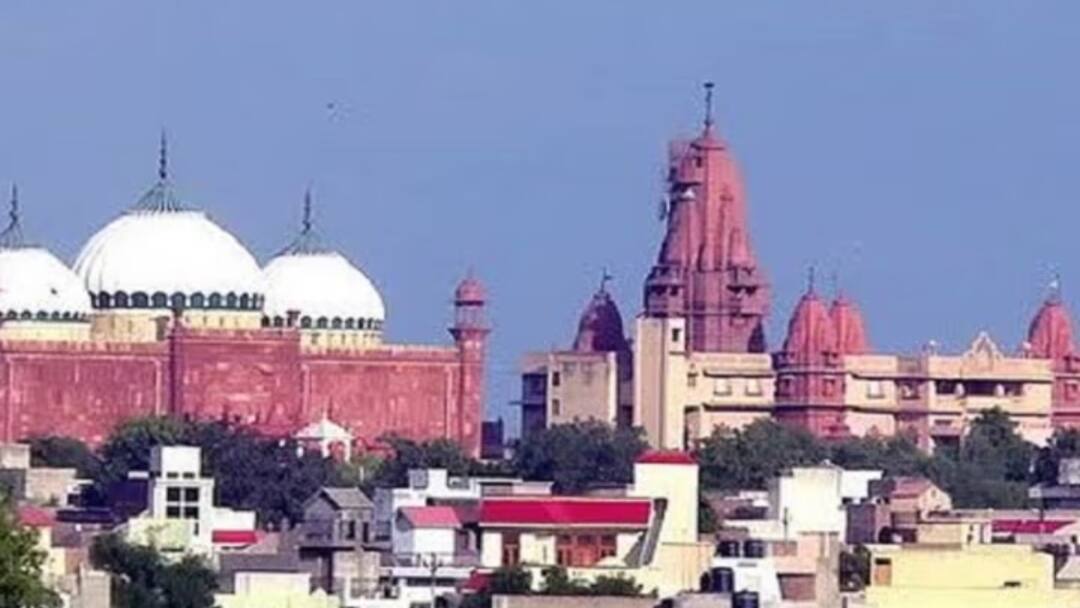 Shri Krishna Janmbhoomi Case: अब एमिकस क्यूरी की नियुक्ति पर विवाद, मुस्लिम पक्ष की अर्जी पर हाईकोर्ट ने रिजर्व किया जजमेंट Allahabad high court reserve Shri Krishna Janmabhoomi and shahi mosque eidgah case judgement ann Shri Krishna Janmbhoomi Case: अब एमिकस क्यूरी की नियुक्ति पर विवाद, मुस्लिम पक्ष की अर्जी पर हाईकोर्ट ने रिजर्व किया जजमेंट