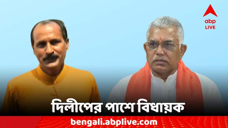 Loksabha Election Result 2024 Bankura BJP MLA Niladri Sekhar Dana On Dilip Ghosh Loksabha Election Result 2024: 