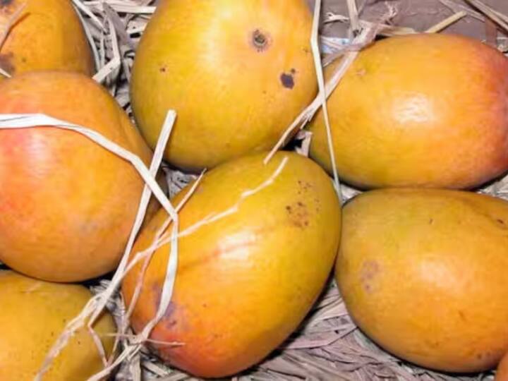 ਦੁਸਹਿਰੀ ਅੰਬ ਉੱਤਰ ਪ੍ਰਦੇਸ਼ ਵਿੱਚ ਸਭ ਤੋਂ ਵੱਧ ਉਗਾਇਆ ਜਾਂਦਾ ਹੈ। ਜੇਕਰ ਅਸੀਂ ਭਾਰਤ ਵਿੱਚ ਅੰਬਾਂ ਦੀ ਸਭ ਤੋਂ ਪਸੰਦੀਦਾ ਕਿਸਮ ਦੀ ਗੱਲ ਕਰੀਏ ਤਾਂ ਉਹ ਹੈ ਅਲਫੋਂਸੋ ਅੰਬ।