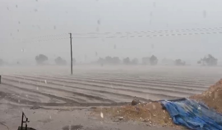 Gujarat Rain: રાજકોટ જિલ્લાના વાતાવરણમાં પલટો, જામકંડોરણાના ગ્રામ્ય વિસ્તારોમાં દોઢ ઈંચ વરસાદ
