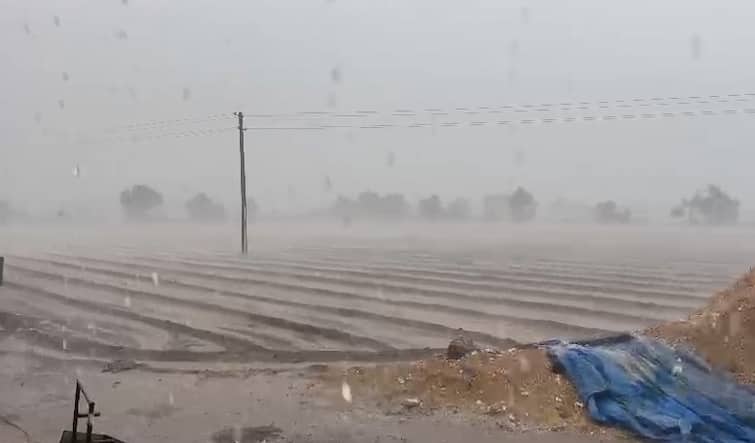 farmers wait for sowing rains monsoon progressing slowly Gujarat Rain: વાવણી લાયક વરસાદ માટે ખેડૂતોએ જોવી પડશે રાહ, ચોમાસું ધીમી ગતિએ આગળ વધી રહ્યું છે