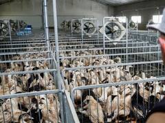 H5N2 ਬਰਡ ਫਲੂ ਨਾਲ ਮਰਨ ਵਾਲੇ ਪਹਿਲੇ ਵਿਅਕਤੀ ਨੇ ਵਧਾਈ ਟੈਂਸ਼ਨ, ਸੰਸਾਰ ਦੇ ਲਈ ਖਤਰੇ ਦੀ ਘੰਟੀ!