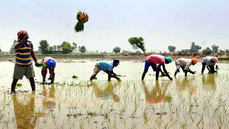 Theni news compendium on Paddy Farming from Kampham Valley - TNN கம்பம் பள்ளத்தாக்கு முதல் போக நெல் விவசாயம் குறித்து ஒரு தொகுப்பு