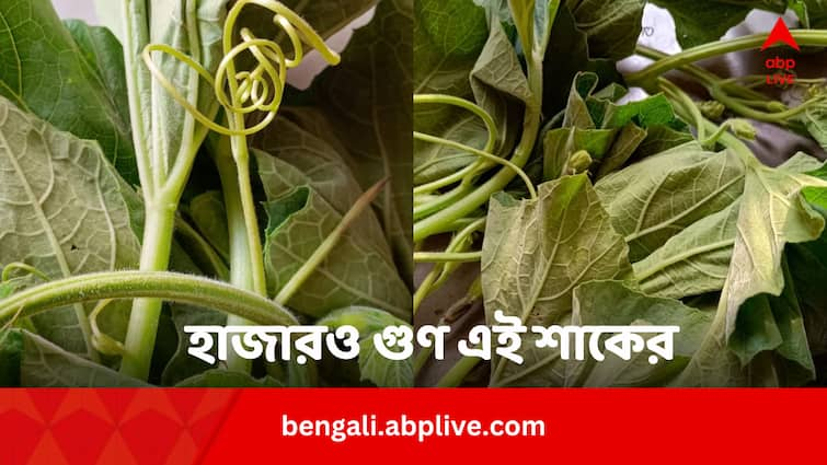 Lau Shak 10 Health benefits Like Sugar hemoglobin dehydration stomach issues