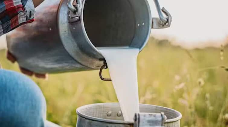 Milk should be priced at Rs 34 per liter or else protest again warns Kisan Sabha दुधाला 34 रुपये दर देण्याच्या विखे पाटलांच्या घोषणेचं काय झालं? दुध उत्पादकांना दिलासा द्या, अन्यथा पुन्हा एल्गार, किसान सभा आक्रमक 