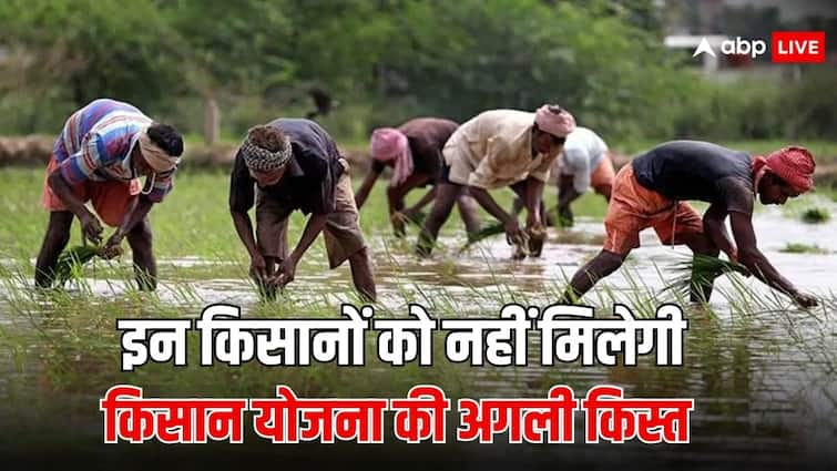 pm kisan samman nidhi yojana 17th instalment these farmers will not get it इन किसानों को नहीं मिलेगी पीएम किसान योजना की 17वीं किस्त, जानें कारण