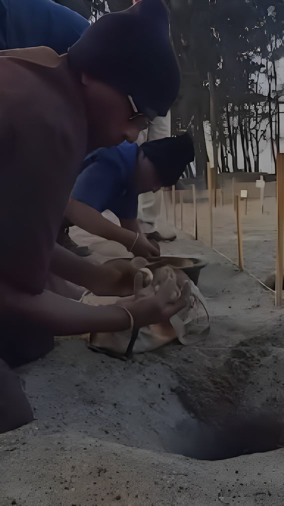 महाराष्ट्रातच्या गुहागरमध्ये कासव संवर्धनासाठी नवा उपक्रम