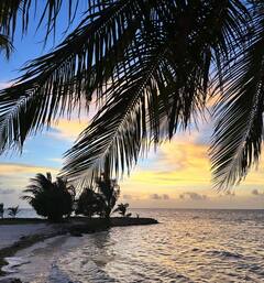 Mehreen Pirzada: మిస్సింగ్‌ అంటూ ఫోటోలు షేర్‌ చేసిన మెహ్రీన్‌ - అది ఎవరో తెలుసా?