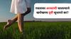 Health : गवतावर अनवाणी चालल्याने खरोखरच दृष्टी सुधारते का? नेमकं सत्य काय? तज्ज्ञांकडून जाणून घ्या