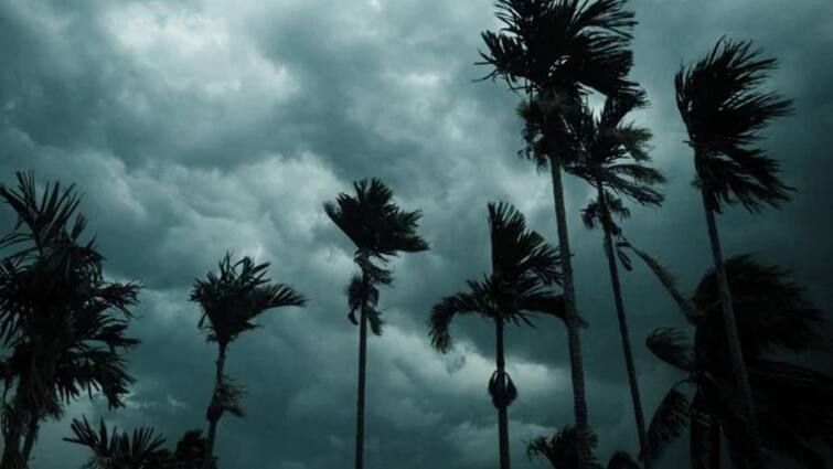 Monsoon Report Monsoon has picked up speed storm and rain forecast in Punjab Monsoon Report: ਮਾਨਸੂਨ ਨੇ ਇਕਦਮ ਫੜੀ ਰਫਤਾਰ, ਪੰਜਾਬ ਵਿਚ ਤੂਫਾਨ ਤੇ ਮੀਂਹ ਦੀ ਭਵਿੱਖਬਾਣੀ