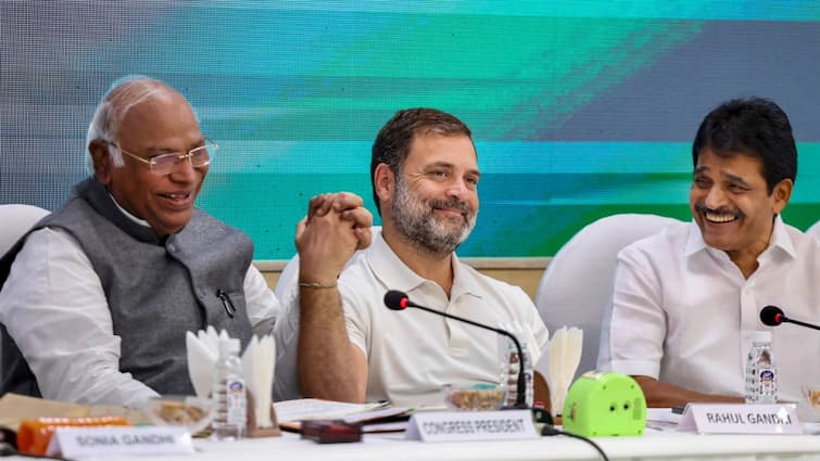 Congress CWC Meeting Nitish Naidu Rahul Gandhi Ahead Of CWC Meeting, Congress Keeps Up Suspense On Nitish & Naidu, MP Says 'Will Take Decision At Right Time'