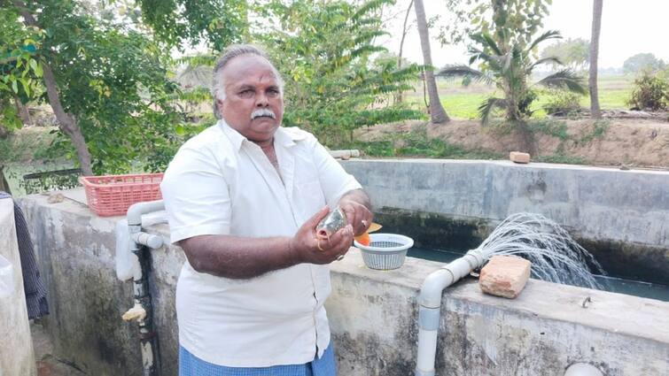Success Story Soorakottai farmer who has been successfully and profitably running fish seed farm for 26 years tnn Fish Farming: 26 ஆண்டுகளாக லாபம்! மீன்குஞ்சு பண்ணை தொழிலில் அசத்தும் சூரக்கோட்டை விவசாயி!