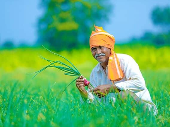 इस योजना के तहत सरकार द्वारा केवल उन्हीं किसानों (Farmer) को लाभ दिया जाता है जिनके परिवार में कोई सरकारी नौकरी नहीं है. अगर किसी के परिवार में कोई नौकरीपेशा है तो ऐसी स्थिति में किसान इस योजना का लाभ नहीं उठा सकता है.