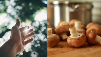 Vitamin D Deficiency : வைட்டமின் டி உடலில் குறைந்தால் சோர்வு, எலும்பு மற்றும் தசை வலி, பசியின்மை, முடி உதிர்தல் ஏற்படலாம்.