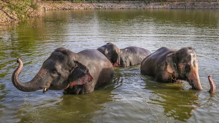 রবিবার আলিপুর আবহাওয়া দফতর জানিয়েছে, অন্তত বুধবার পর্যন্ত গরম থেকে বড় রকমের স্বস্তি নেই দক্ষিণবঙ্গবাসীর। বুধবার পর্যন্ত তাপমাত্রা বৃদ্ধি জারি থাকবে দক্ষিণবঙ্গে।