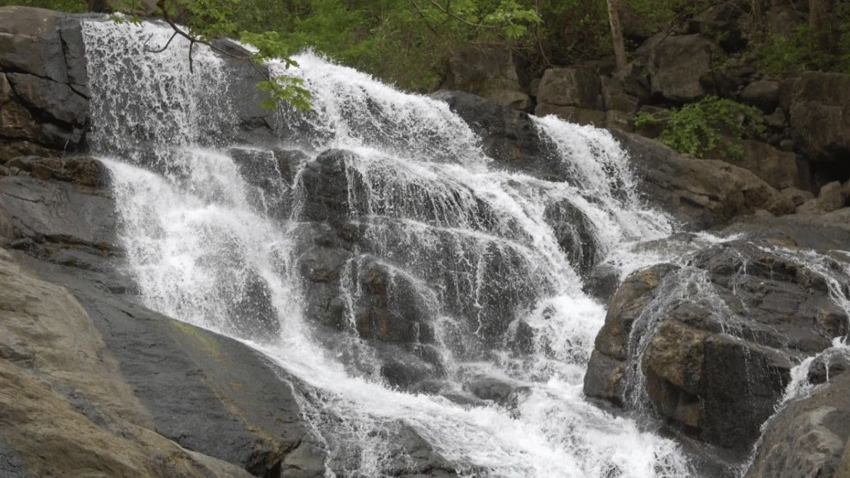 Travel : पावसात लांब कशाला? मुंबईतच स्वर्गसुख अनुभवा! 'हा' धबधबा पाहाल, तर माथेरान, महाबळेश्वर विसराल.. 