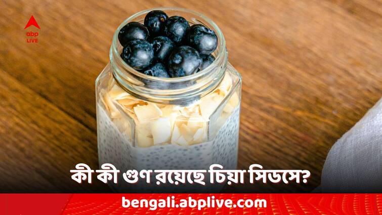 health tips chia seeds benefits why you add chia seeds in your breakfast check the importance Chia Seeds Benefits: জলখাবারে কেন খাবেন চিয়া সিডস, ওজন কমার পাশাপাশি আর কী কী উপকার পাবেন?