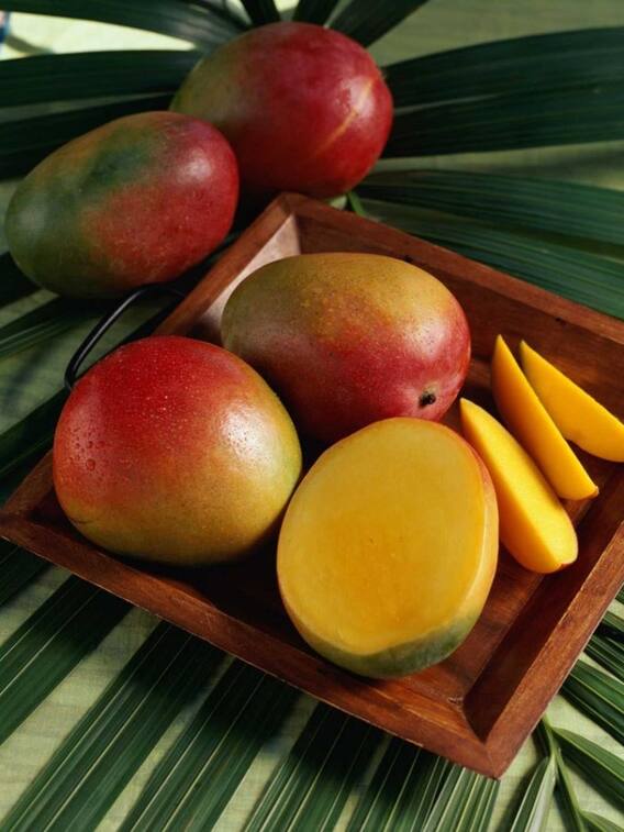 बिहार का कौन-सा शहर है जर्दालू आम के लिए मशहूर