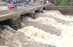 राज्यात पावसाचा जोर वाढला, 'या' भागात मुसळधार पावसाची हजेरी