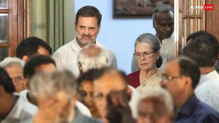 सीटों के बंटवारे के मुद्दे पर योगेंद्र यादव ने कहा कि हर रोज ऊटपटांग खबरें आती थीं. विपक्ष ने खुद इसका मौका दिया.