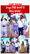 Dogs ਪਿੱਛੇ ਕਮਲੀ ਹੈ ਸੋਨਮ ਬਾਜਵਾ