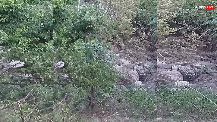 एसएसपी का कहना है कि जो हमें शुरुआती रिपोर्टों से पता चला है सभी मृतक यात्री उत्तर प्रदेश के रहने वाले हैं. फिलहाल, शिव खोरी तीर्थस्थल को सुरक्षित कर लिया गया है. जम्मू-कश्मीर के रियासी जिले में एक बस पर हुए आतंकी हमले के बाद सुरक्षा बढ़ा दी गई है.