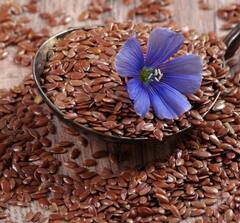 Flax Seeds: ਔਰਤਾਂ ਲਈ ਫਾਇਦੇਮੰਦ ਹੁੰਦੇ ਅਲਸੀ ਦੇ ਬੀਜ, ਭਾਰ ਘਟਾਉਣ ਤੋਂ ਲੈ ਕੇ ਹਾਰਮੋਨ ਸੰਤੁਲਨ ਕਰਨ ਤੱਕ ਫਾਇਦੇ