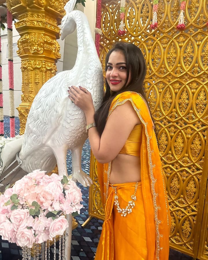 बिग बॉस अश्विनी: साड़ी में बिग बॉस की खूबसूरती ये तस्वीरें अब वायरल हो रही हैं. फोटो क्रेडिट: अश्विनी श्री/इंस्टाग्राम