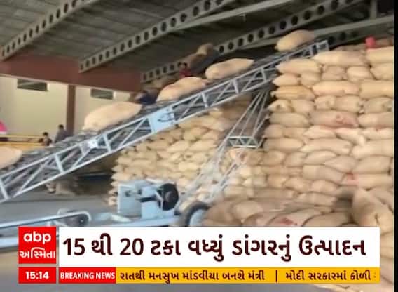 Surat News: ઉનાળુ ડાંગરનું મબલખ ઉત્પાદન, ખેડૂતોમાં છવાયો ખુશીનો માહોલ