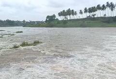 राज्यात पावसाचा जोर वाढला, 'या' भागात मुसळधार पावसाची हजेरी