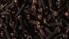 Hair Care:இளநரையை குறைக்க வேண்டுமா?வீட்டிலேயே ஹேர்சீரம் தயாரிக்கலாம்!