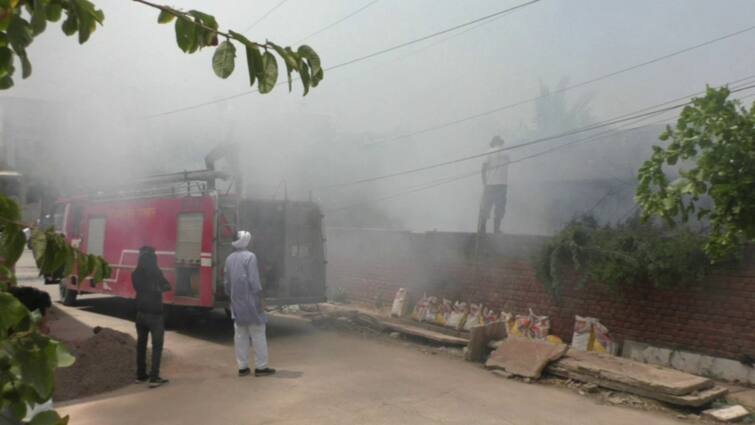 खाली पड़े प्लॉट के कचरे और पेड़ों में लगी आग, ऊंची-ऊंची लपटें देख मचा हड़कंप