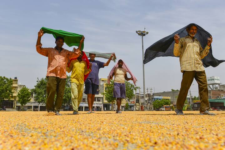 मौसम विभाग ने 10 जून से 14 जून तक पंजाब के कई हिस्सों में लू का दौर जारी रहने की आशंका जताई है. यानी पांच दिनों तक लू का प्रकोप रहेगा.(फाइल फोटो)