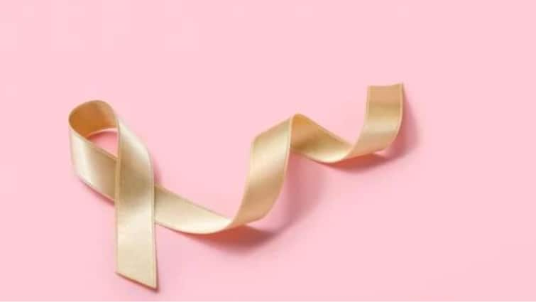 Uterine Cancer Awareness Key Prevention And Detection Tips