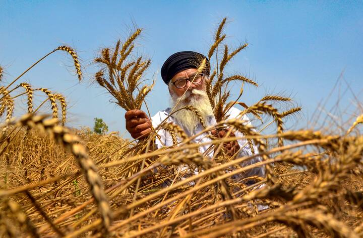 जिन किसानों ने अपनी जमीन के दस्तावेजों को सत्यापित नहीं कराया है, उन्हें भी पैसा मिलने में परेशान होगी. साथ ही जिन किसानों ने आधार के साथ बैंक खाता लिंक नहीं कराया है, उन्हें भी योजना का पैसा नहीं मिलेगा.