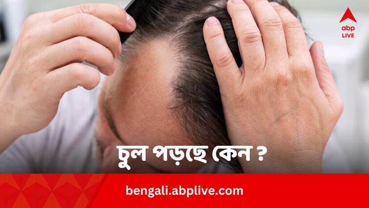 Hair Fall Cause 3 Most Common Underlying Health Issues And Possible Remedies Hair Fall Cause: হাজার টোটকাতেও চুল পড়া থামছে না ? গোড়াতেই গলদ ?