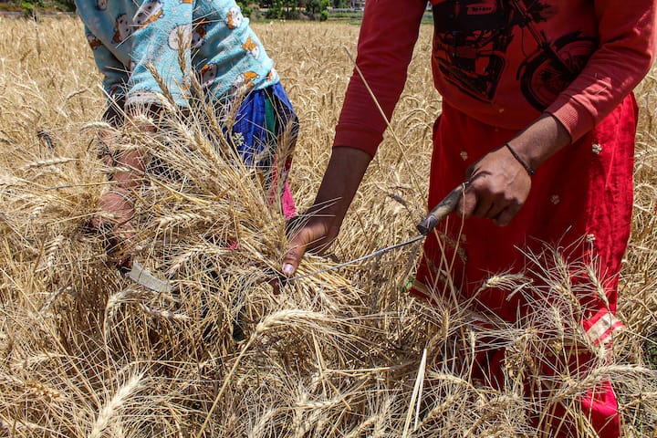 जिन किसानों ने अपनी ई-केवाईसी पूरी नहीं की है, उन्हें पीएम किसान योजना की 17वीं किस्त नहीं मिलेगी.