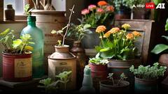 कबाड़ में पड़ा कंटेनर भूलकर भी मत बेचना, घर में 'हरियाली' लाने के आएगा काम