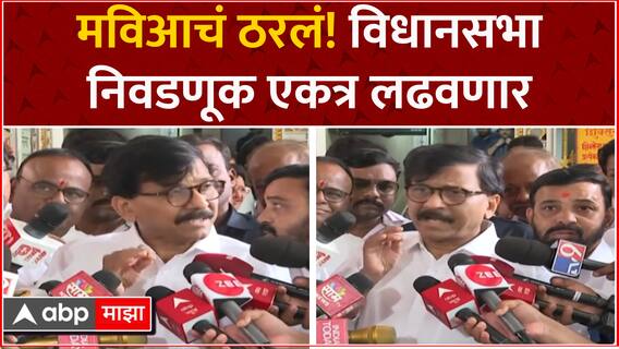 Sanjay Raut on Vidhan Sabha : विधानसभा निवडणूक मविआ एकत्र लढवणार- संजय राऊत ABP Majha
