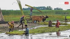 PM Kisan Yojana: कभी भी आ सकता है पीएम किसान योजना का पैसा, इस राज्य के किसानों को होगा बड़ा फायदा