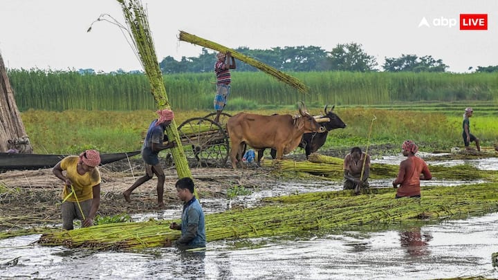 PM Kisan Yojana: पीएम किसान योजना की किस्त जल्द ही जारी हो सकती है, यानी किसानों के खाते में कभी भी पैसा पहुंच सकता है. इस राज्य के किसानों के खाते में ज्यादा पैसे आने वाले हैं.