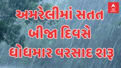 Amreli Rain | બપોર બાદ અમરેલીના વાતાવરણમાં પલટો, સતત બીજા દિવસે ધોધમાર વરસાદ શરૂ